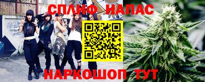 a pvp Славгород