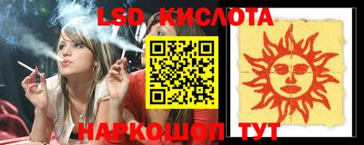 a pvp Славгород