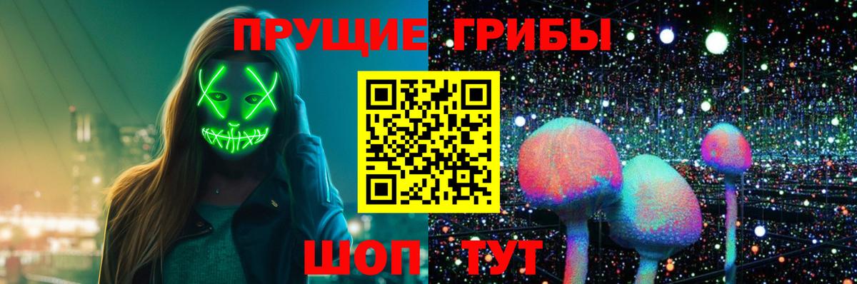 Псилоцибиновые грибы прущие грибы Отрадный