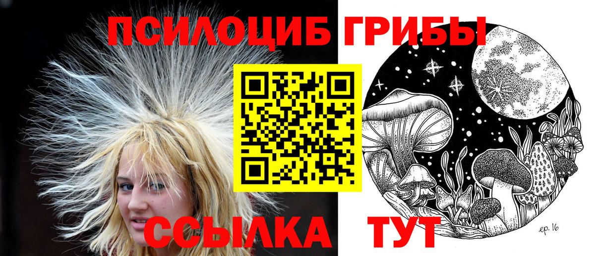 Псилоцибиновые грибы Psilocybe  Вход с VPN  Отрадный 